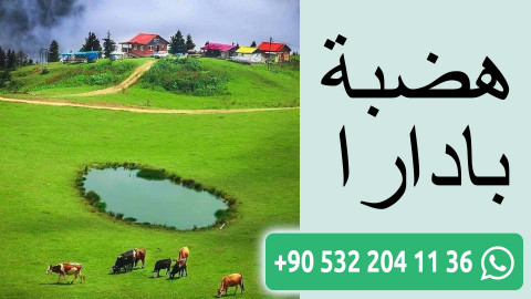 هضبة بادارا